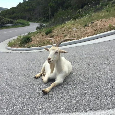 Livia - Agosta By Foot Terrace - By Tgb Appartamento *