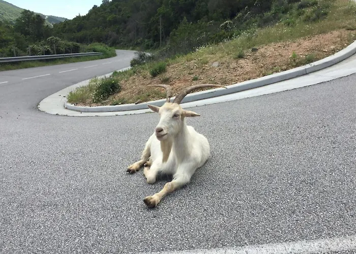 Livia - Agosta By Foot Terrace - By Tgb Appartement *